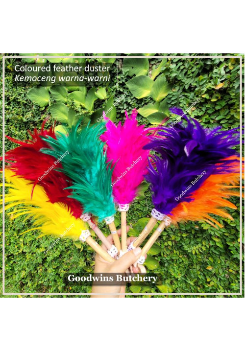 DUSTER coloured feather KEMOCENG bulu ayam warna-warni 25cm